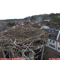 14_45-nest.jpg