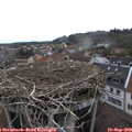 14_50-nest.jpg
