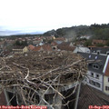 15_00-nest.jpg
