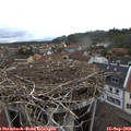 15_05-nest.jpg