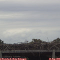 15_10-mast.jpg