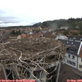 15_10-nest.jpg
