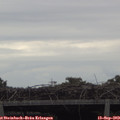 15_15-mast.jpg