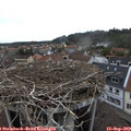 15_15-nest.jpg