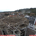 15_25-nest.jpg