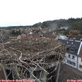 15_30-nest.jpg