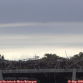 15_35-mast.jpg