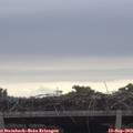 15_40-mast.jpg