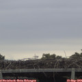 15_45-mast.jpg
