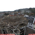 15_45-nest.jpg