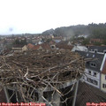 15_50-nest.jpg