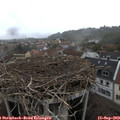 15_55-nest.jpg