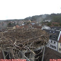 16_00-nest.jpg