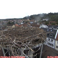 16_05-nest.jpg