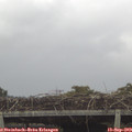 16_10-mast.jpg