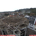 16_10-nest.jpg