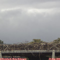 16_15-mast.jpg
