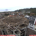 16_15-nest.jpg