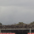 16_20-mast.jpg