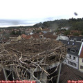 16_20-nest.jpg