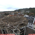 16_25-nest.jpg
