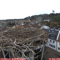 16_30-nest.jpg