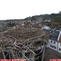 16_35-nest.jpg