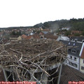 16_40-nest.jpg