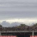 16_45-mast.jpg