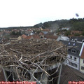 16_55-nest.jpg