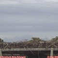 17_00-mast.jpg