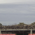 17_05-mast.jpg