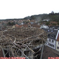 17_05-nest.jpg
