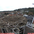 17_10-nest.jpg
