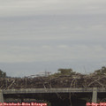 17_20-mast.jpg