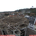 17_20-nest.jpg