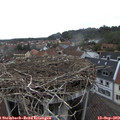 17_30-nest.jpg
