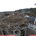 17_35-nest.jpg