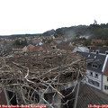 17_40-nest.jpg