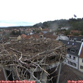 17_45-nest.jpg