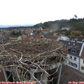 18_05-nest.jpg