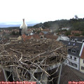 18_10-nest.jpg