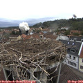 18_15-nest.jpg
