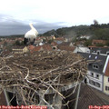 18_25-nest.jpg