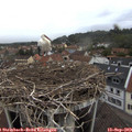 18_35-nest.jpg