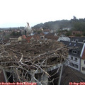 18_40-nest.jpg