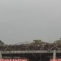 07_10-mast.jpg