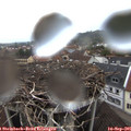 07_10-nest.jpg
