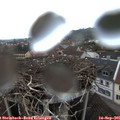 07_15-nest.jpg