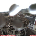 07_20-nest.jpg